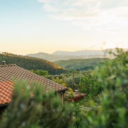 Agriturismo La Burlanda Fosdinovo Dış mekan fotoğraf