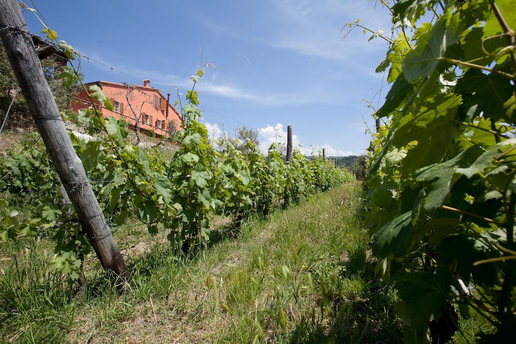 Agriturismo La Burlanda Fosdinovo Dış mekan fotoğraf